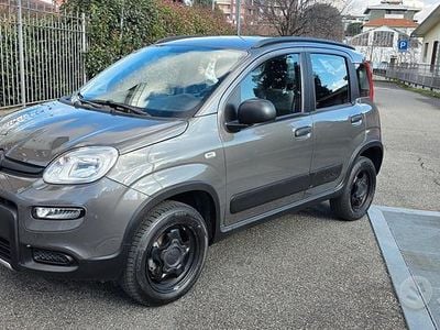 Usata Fiat Panda 4x4 Wild 86 CV (63 kW) 2022 Grigio Utilitaria