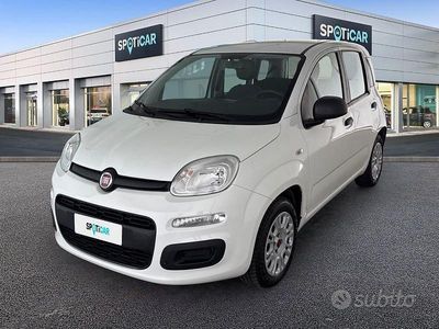 Usata Fiat Panda Easy 69 CV (50 kW) 2019 Bianco Berlina