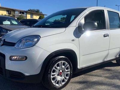Usata Fiat Panda 69 CV (50 kW) 2023 Bianco Utilitaria