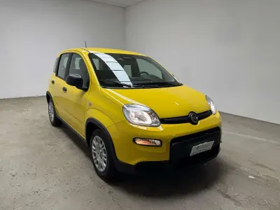 Usata Fiat Panda 69 CV (50 kW) 2024 Giallo birichino Utilitaria