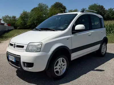 Usata Fiat Panda 4x4 Climbing 75 CV (55 kW) 2011 Bianco Utilitaria