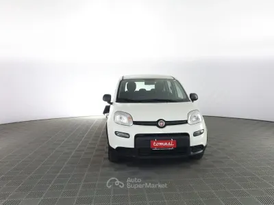 Usata Fiat Panda S 69 CV (50 kW) 2023 Bianco Utilitaria