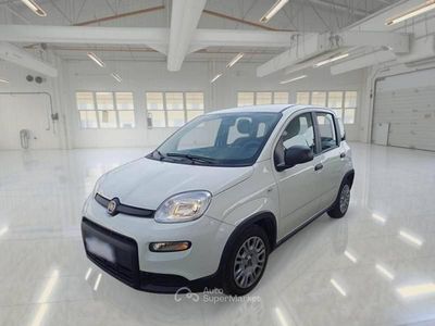 Usata Fiat Panda S 69 CV (50 kW) 2024 Utilitaria