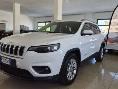 Usata Jeep Cherokee Longitude 194 CV (142 kW) 2019 Other SUV