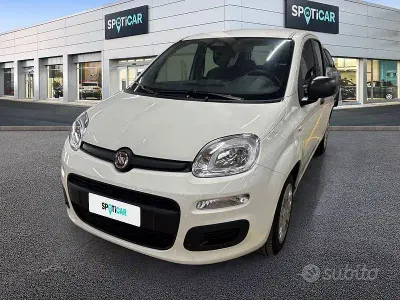 Usata Fiat Panda Icon 70 CV (51 kW) 2026 Bianco Utilitaria