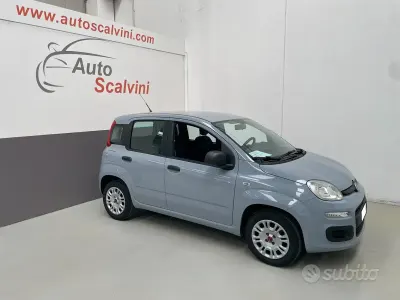Usata Fiat Panda Easy 69 CV (50 kW) 2019 Grigio Utilitaria