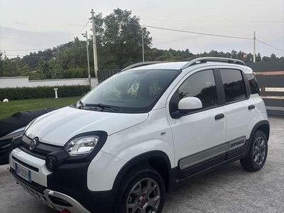 Usata Fiat Panda Cross Cross 90 CV (66 kW) 2020 Utilitaria