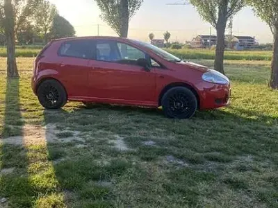 Usata Fiat Punto 65 CV (47 kW) 2008 Rosso Utilitaria