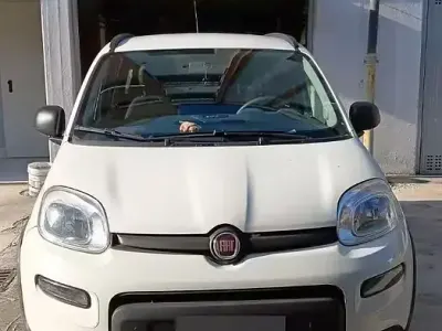 Usata Fiat Panda 4x4