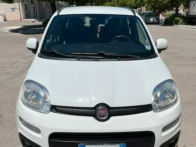 Usata Fiat Panda 85 CV (62 kW) 2015 Bianco Utilitaria