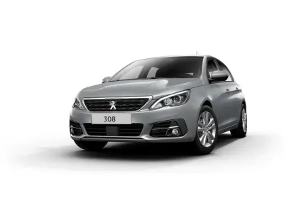 Usata Peugeot 308
