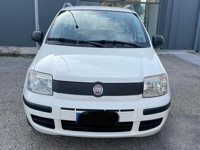 usata Fiat Panda 1200 bz neopatentati