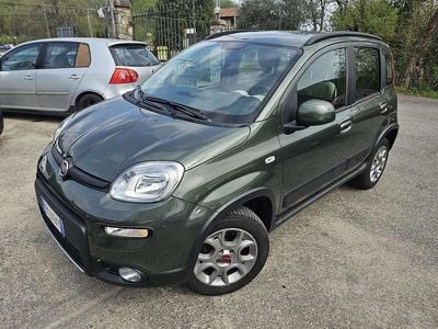 Usata Fiat Panda 4x4 75 CV (55 kW) 2014 Verde Utilitaria
