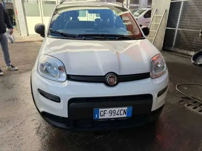 Usata Fiat Panda