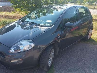 Usata Fiat Punto Lounge 69 CV (50 kW) 2015 Grigio Utilitaria