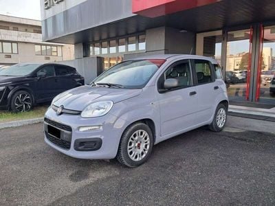 Usata Fiat Panda Easy 70 CV (51 kW) 2020 Grigio Utilitaria