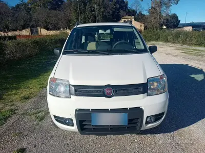Usata Fiat Panda 4x4 60 CV (44 kW) 2009 Bianco Utilitaria