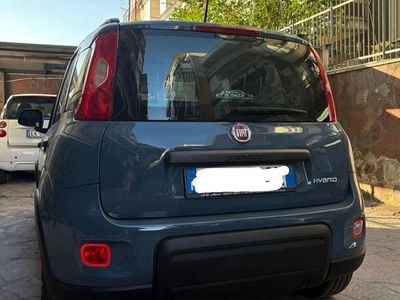 Usata Fiat Panda Cross Cross 2025 Blu Utilitaria
