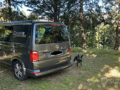 Occasion VW California Beach 150 ch (110 kW) 2021 Van