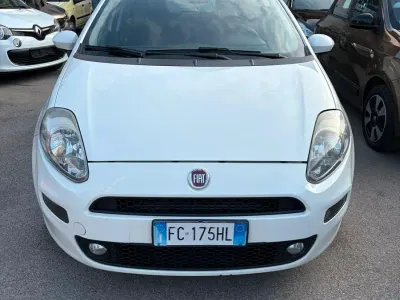 Usata Fiat Punto Lounge 85 CV (62 kW) 2016 Bianco Utilitaria