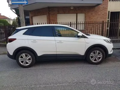 Usata Opel Grandland X 131 CV (96 kW) 2019 Bianco SUV