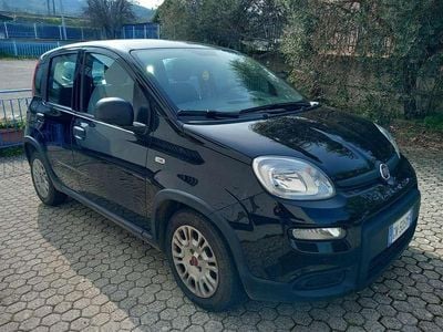 Usata Fiat Panda S 69 CV (50 kW) 2023 Utilitaria