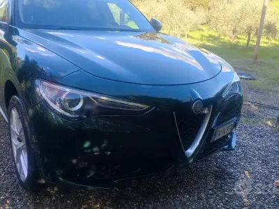 Usata Alfa Romeo Stelvio Business 210 CV (154 kW) 2019 Verde SUV