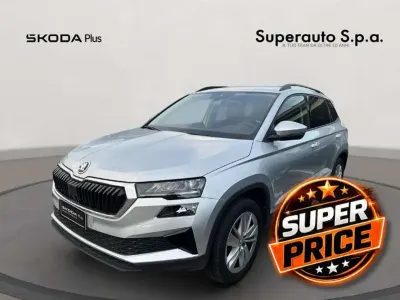 Usata Skoda Karoq