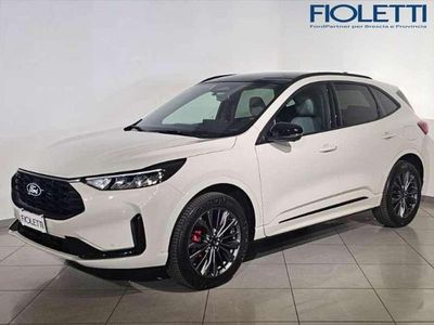 Usata Ford Kuga 2026 Bianco SUV