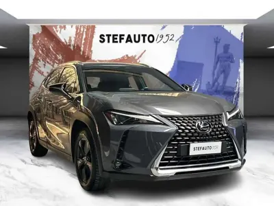 Usata Lexus UX 250h