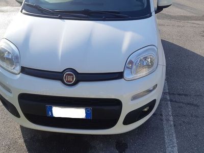 usata Fiat Panda Panda 1.2Lounge 1.2 Neopatentati 5 porte