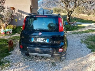 Usata Fiat Panda 4x4 75 CV (55 kW) 2014 Nero Utilitaria