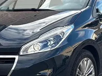 Usata Kia Picanto Active 65 CV (47 kW) 2020 Bianco Utilitaria