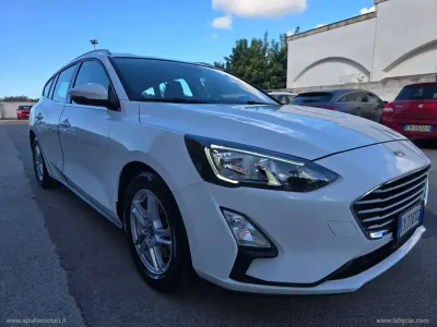 Usata Ford Focus ST-Line 120 CV (88 kW) 2019 Bianco Station wagon