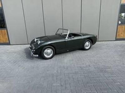 Usata Austin Healey Sprite 44 CV (32 kW) 1960 Verde Cabrio