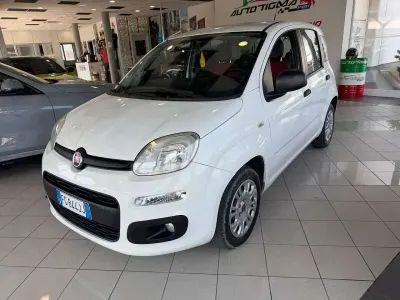 Usata Fiat Panda 80 CV (58 kW) 2016 Bianco Utilitaria