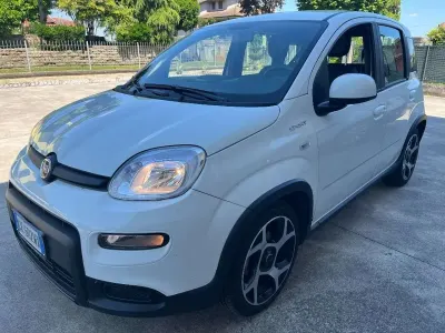 Usata Fiat Panda Sport 69 CV (50 kW) 2022 Bianco Utilitaria