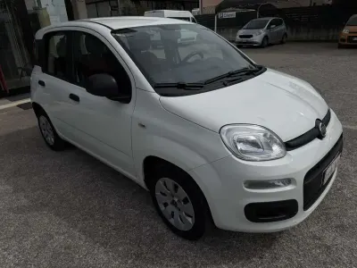 Usata Fiat Panda Pop 69 CV (50 kW) 2020 Bianco Utilitaria