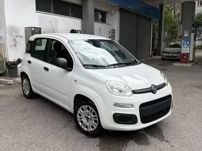 Usata Fiat Panda Easy 69 CV (50 kW) 2019 Bianco Utilitaria