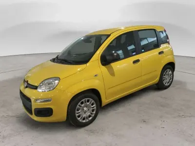Nuova Fiat Panda Icon 65 CV (47 kW) 2025 Giallo Utilitaria