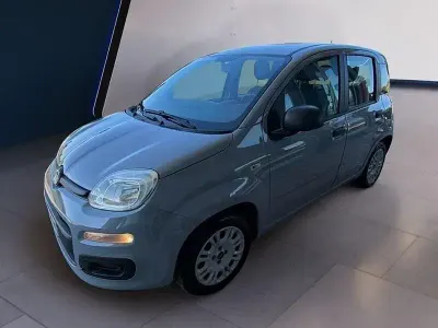 Usata Fiat Panda Lounge 69 CV (50 kW) 2018 Grigio Utilitaria