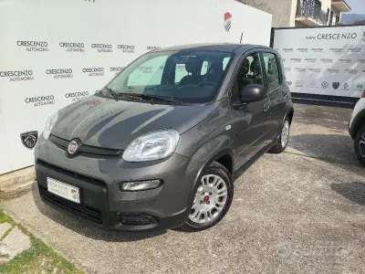 Begagnad Fiat Panda City Life 69 HK (50 kW) 2023 Grå Halvkombi