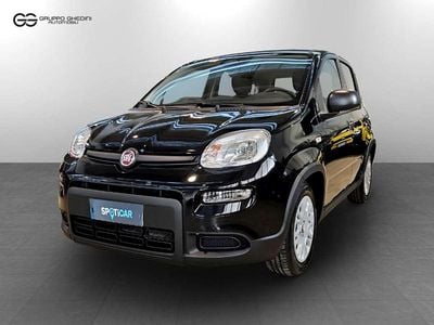 Nero cinema pastello Usata 2025 Fiat Panda Berlina | 14.400 € (Cara)