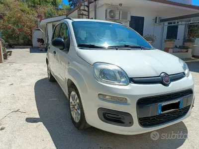 Usata Fiat Panda 75 CV (55 kW) 2014 Bianco Utilitaria