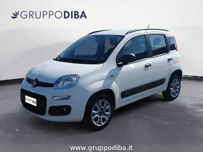 Usata Fiat Panda Lounge 85 CV (62 kW) 2013 Bianco Utilitaria