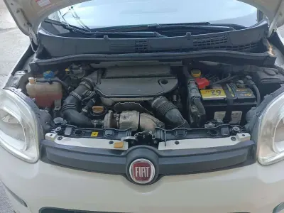 Usata Fiat Panda 4x4 75 CV (55 kW) 2014 Utilitaria