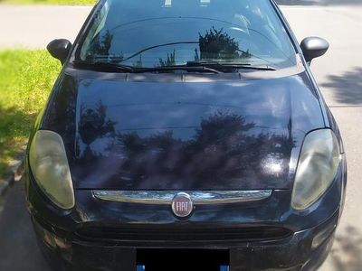 Usata Fiat Punto Evo Life 69 CV (50 kW) 2011 Blu Utilitaria
