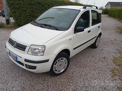 Usata Fiat Panda 2008 Bianco Utilitaria