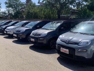 Usata Fiat Panda City Life 69 CV (50 kW) 2022 Bianco Berlina