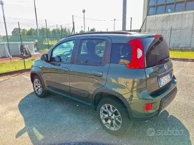 Usata Fiat Panda 4x4 85 CV (62 kW) 2020 Verde Utilitaria